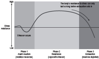 adaptation