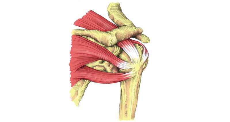 rotator-cuff-strain800-800x426