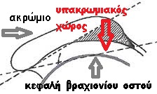 shoulder3a