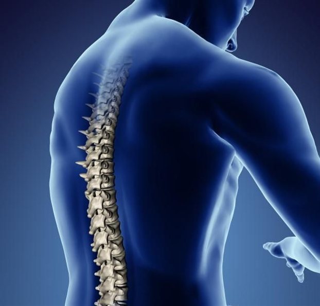 spinal4