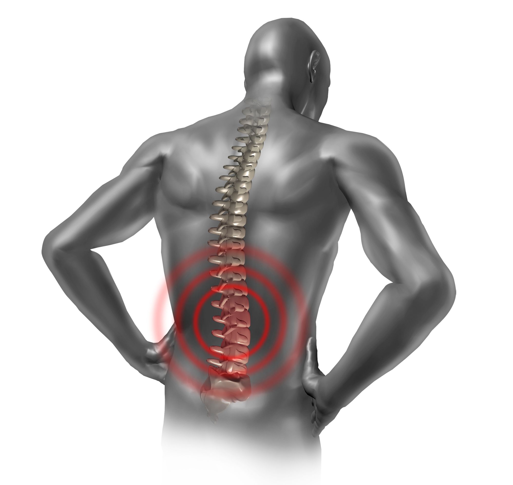 spine-for-brochure