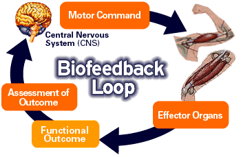 biofeedback