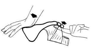 coccyx