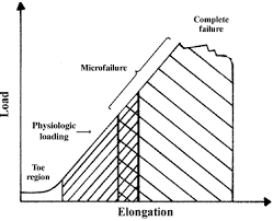 fascia elongation