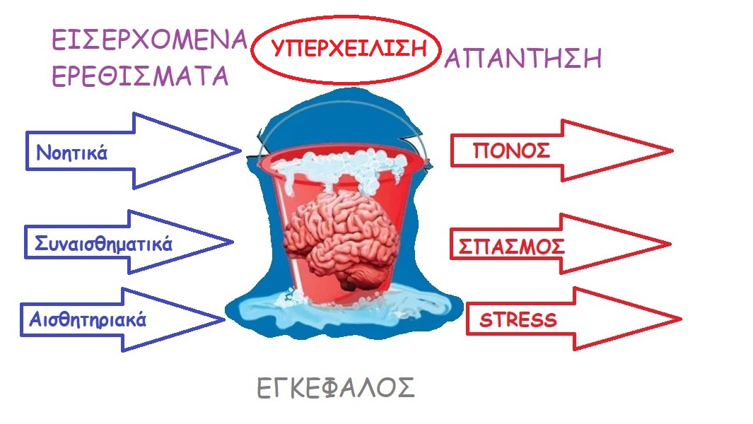 new brain