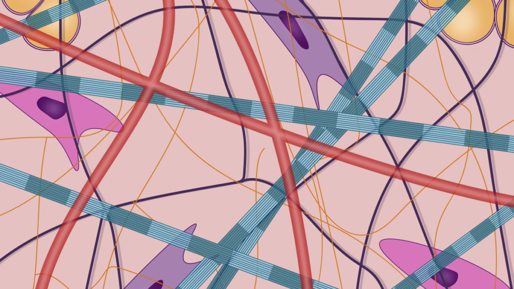 extracellularcover 1024x576
