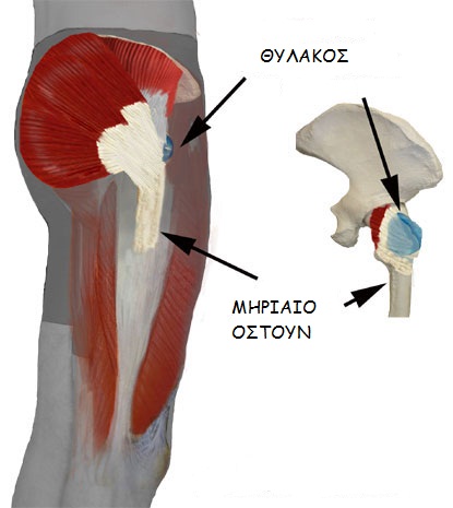 imagehip2