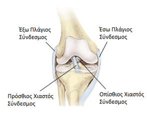 knee4