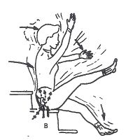 energy cysts02