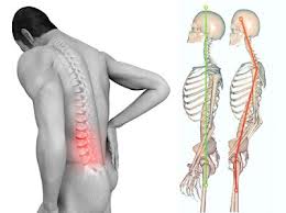 spondyl
