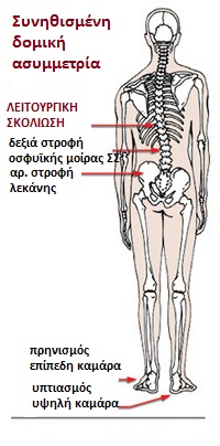 CommonStructural