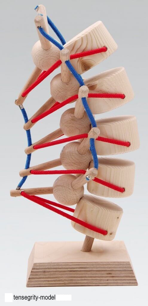 Image2-tensegrity-495x1024