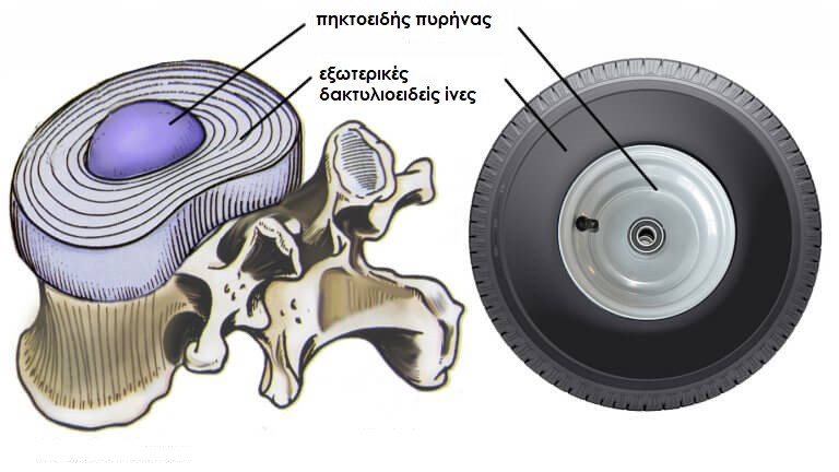 Image3-tire-768x432-1