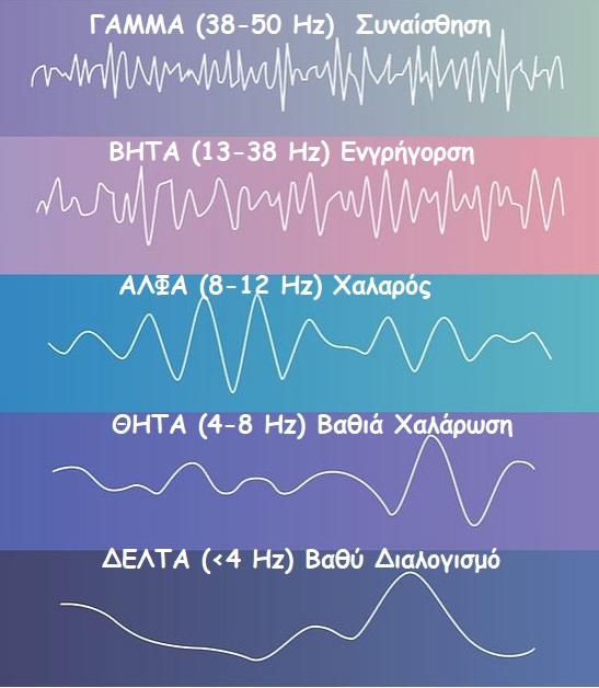 brain waves1