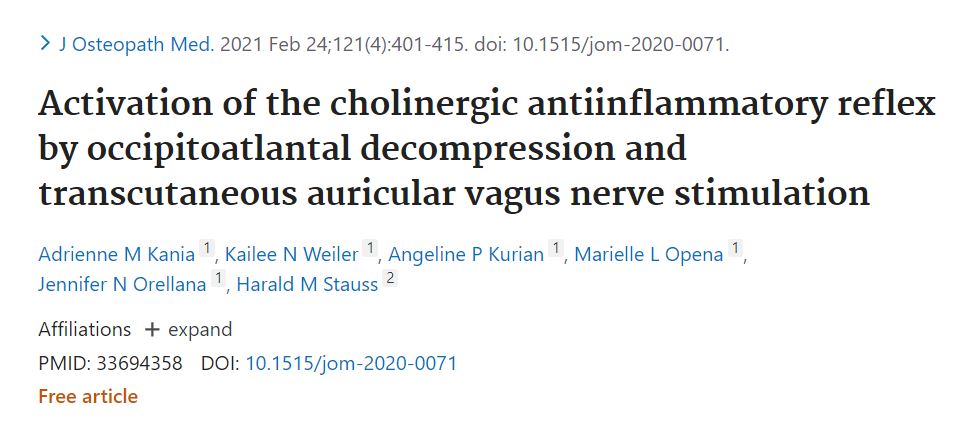 cholinergic