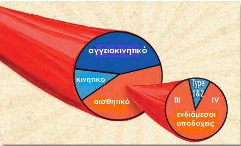 interstitial receptorsgr