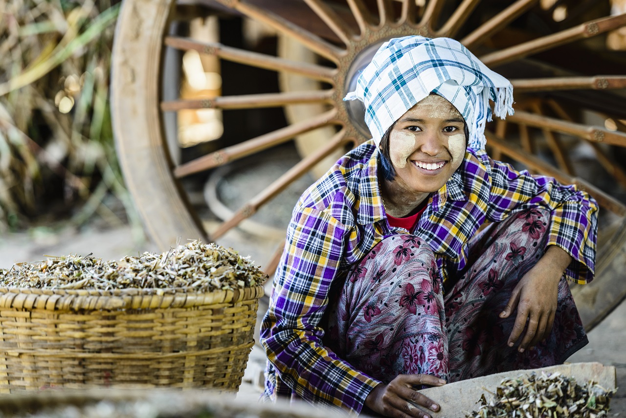 55058 asian girl selling herbs in market