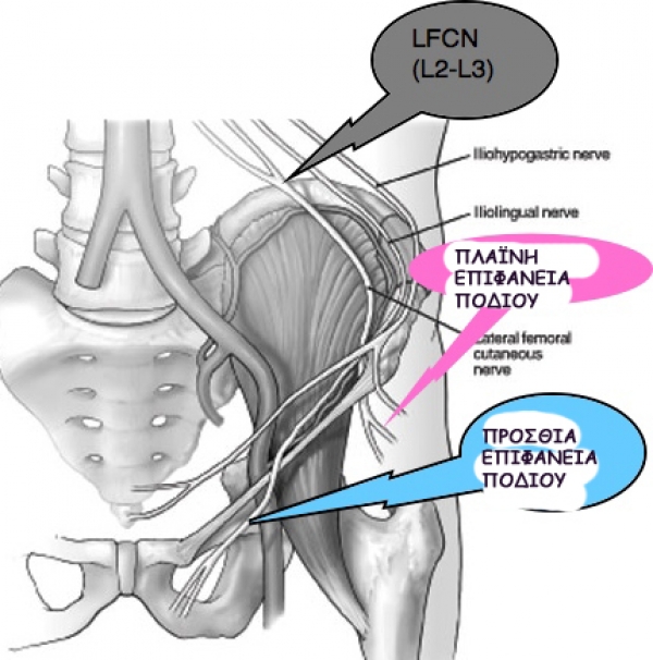 lumbarsacral1