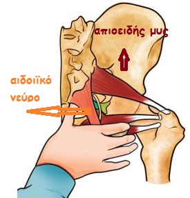 putendal n.1a