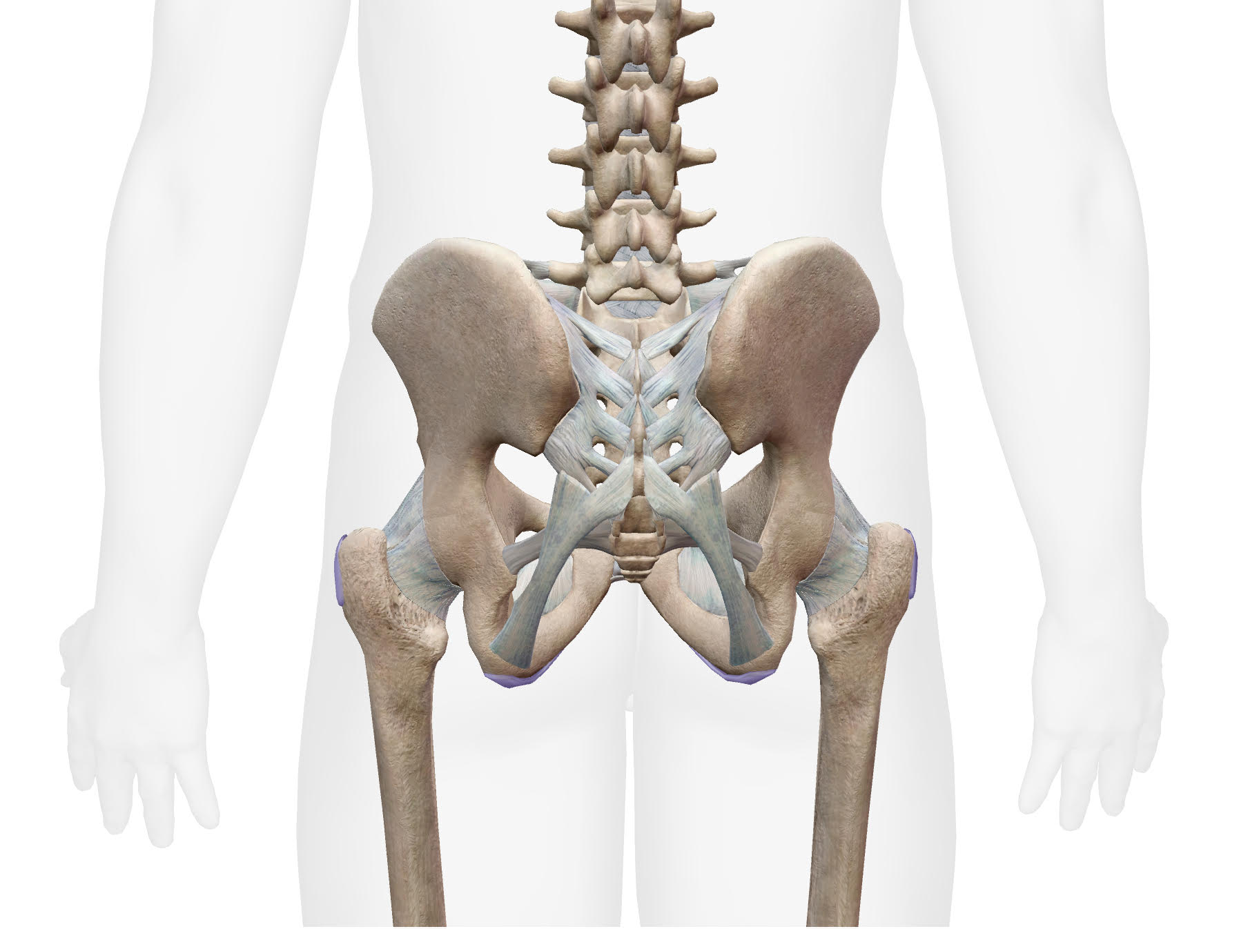 sacroiliac