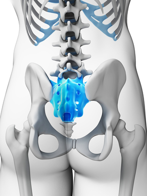 sacrum2