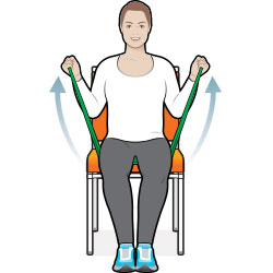 exercises resistance
