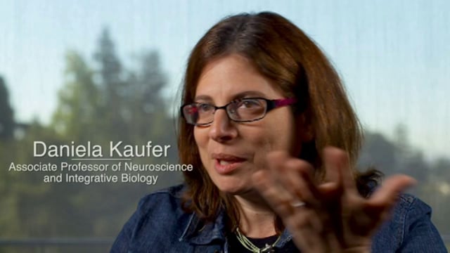 KAUFER