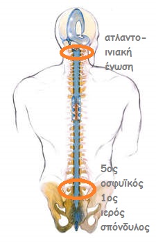 craniosacral