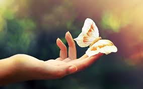 images 002