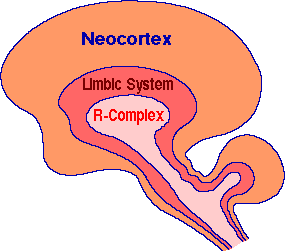 Brain Triune