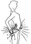energy cysts.1