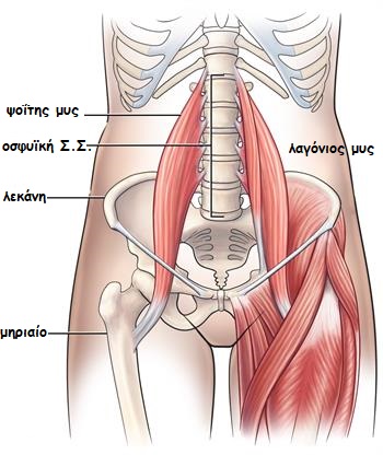 psoas dysfunction1