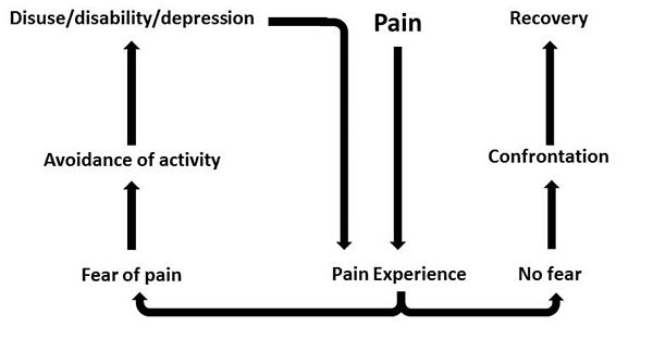 Fear avoidance model
