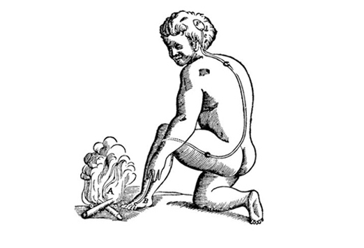 fig1