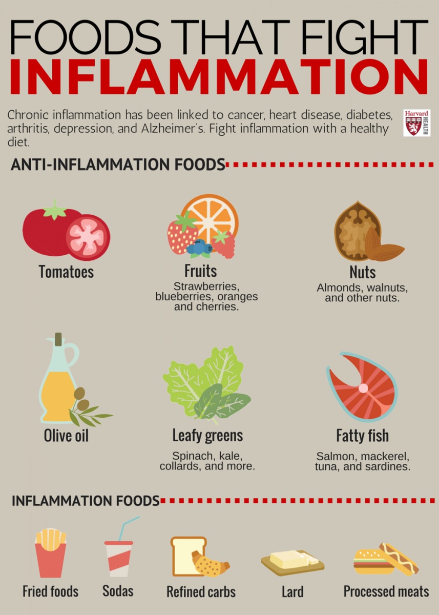 harvard inflammation